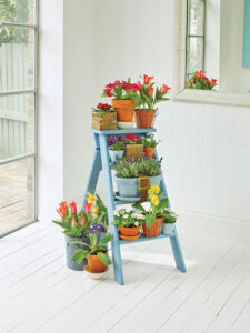 Create an Indoor Ladder Flower Display Image